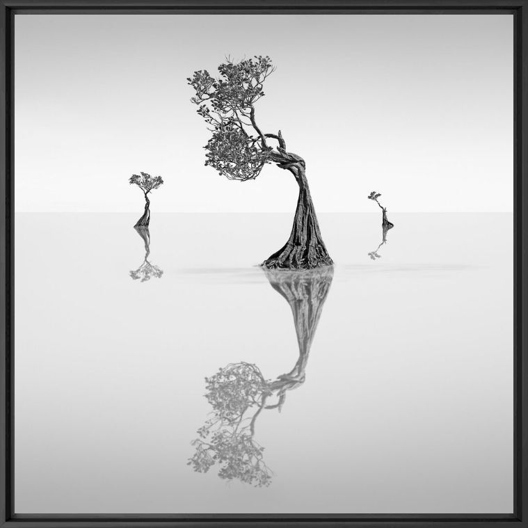 Photograph Dancing Mangrove Trees 5 -  JEFFLIN - Picture painting