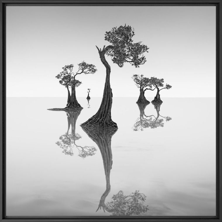 Kunstfoto Dancing Mangrove Trees 7 -  JEFFLIN - Foto schilderij