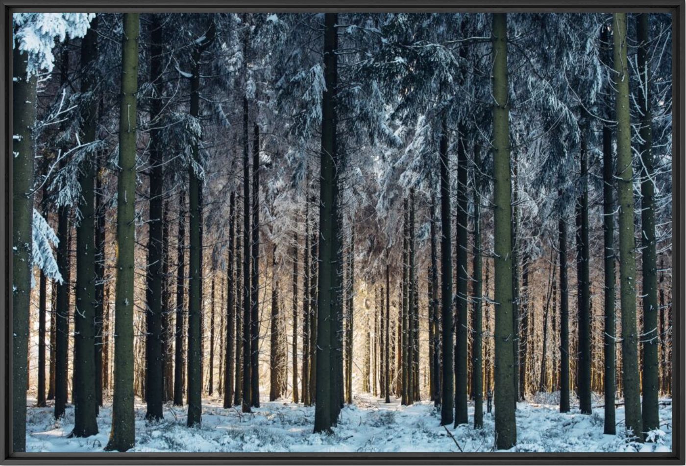 Photograph Winter cathedral - Johan Lolos - Picture painting