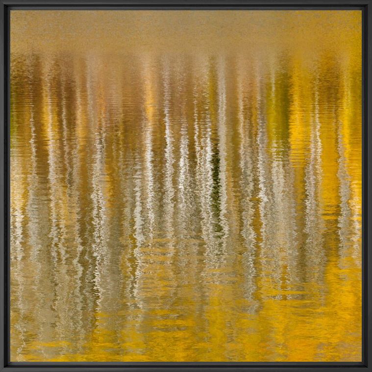 Photograph AUTUMN REFLECTIONS IN MOUNTAIN LAKE IV -  JOHN EASTCOTT ET YVA MOMATIUK - Picture painting