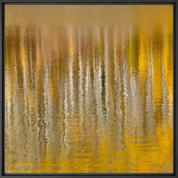 Fotografia AUTUMN REFLECTIONS IN MOUNTAIN LAKE IV -  JOHN EASTCOTT ET YVA MOMATIUK - Pittura di immagini