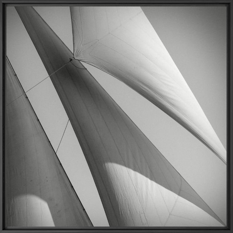 Photograph Toutes voiles dehors - JONATHAN CHRITCHLEY - Picture painting