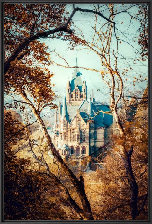 Photograph Drachenburg 1 - Jörg Wanderer - Picture painting