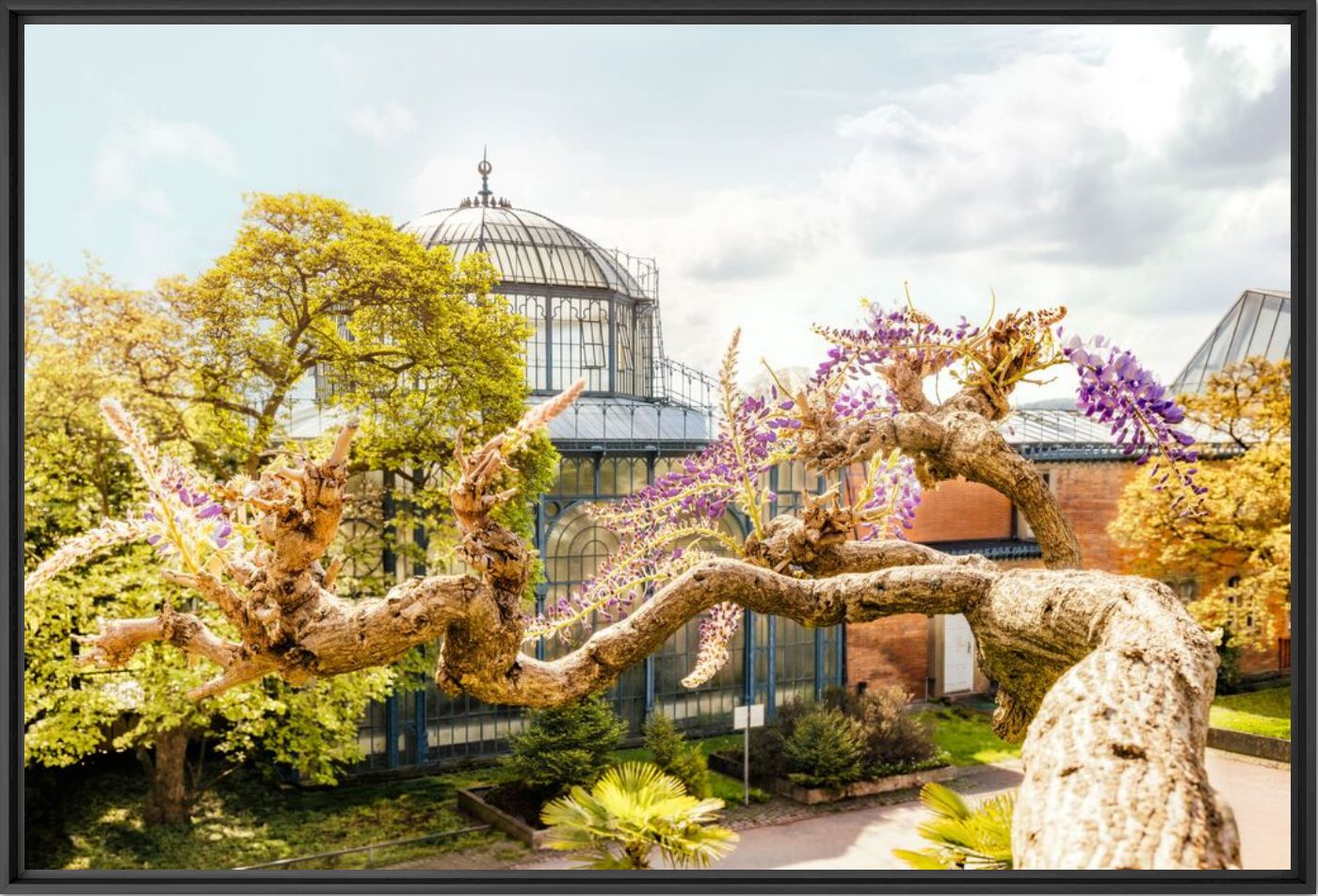 Kunstfoto Wilhelma Stuttgart 1 - Jörg Wanderer - Foto schilderij