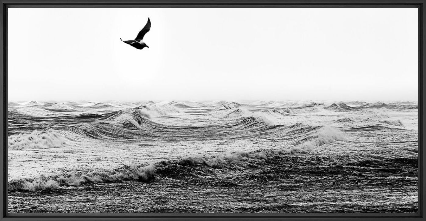 Fotografie VAGUES OCEANES I - JULES VALENTIN - Bildermalerei