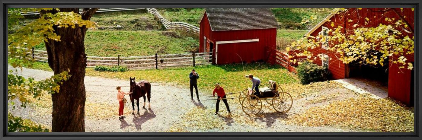 Photograph FARMYARD AND HORSE 1967 - KODAK COLORAMA DISPLAY COLLECTION - LEE HOWICK AND NEIL MONTANUS - Picture painting