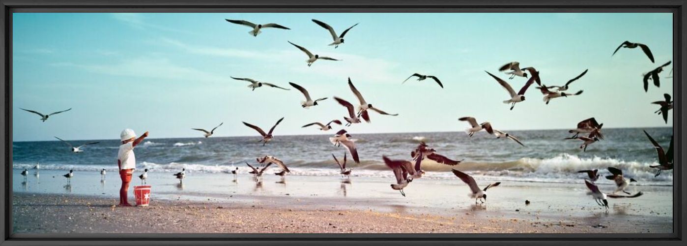 Photograph Little boy feeding gulls, 1969 - KODAK COLORAMA DISPLAY COLLECTION - OZZIE SWEET - Picture painting