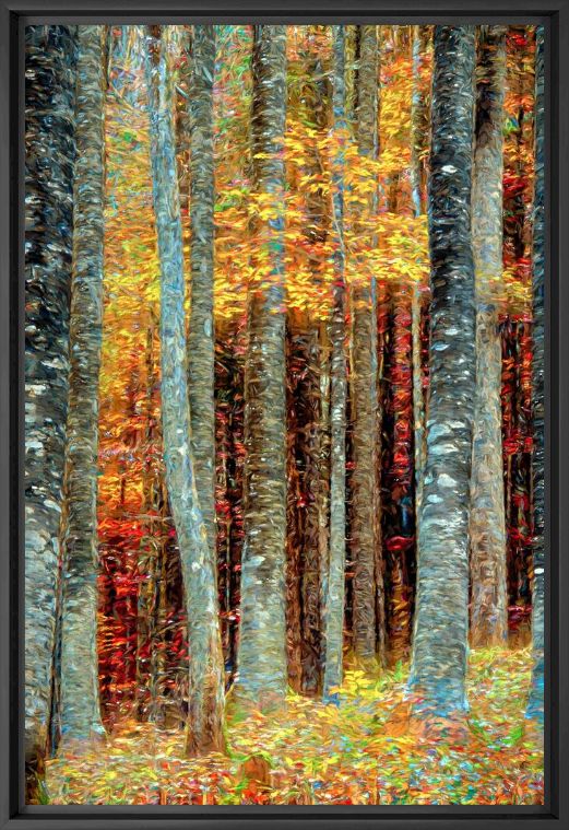 Photograph KlimtWald - LARS VAN DE GOOR - Picture painting