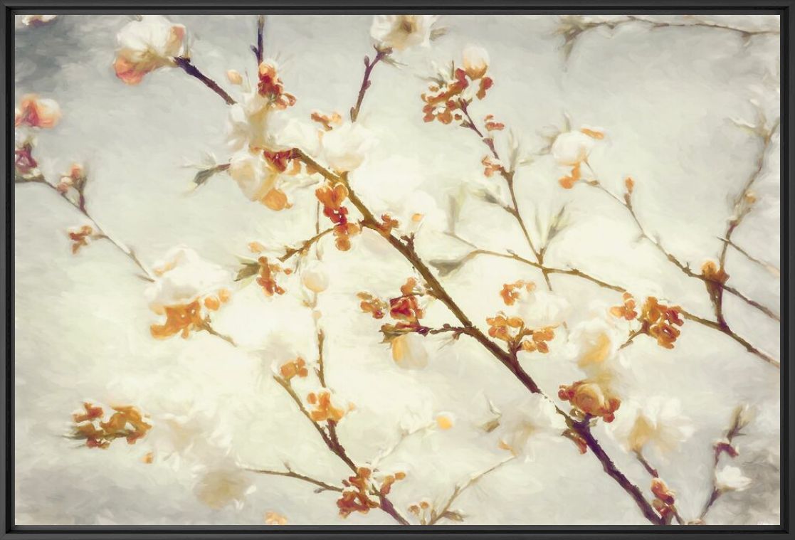 Photograph Twig of Spring - LARS VAN DE GOOR - Picture painting