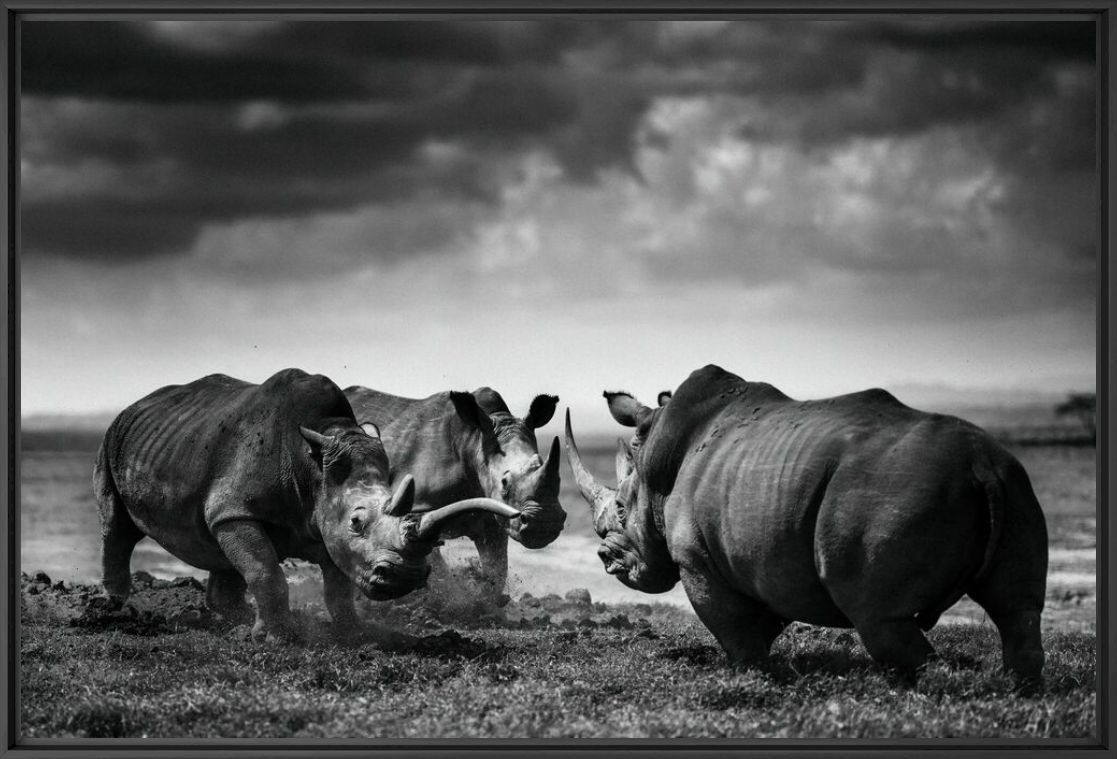 Kunstfoto African gladiators - LAURENT BAHEUX - Foto schilderij