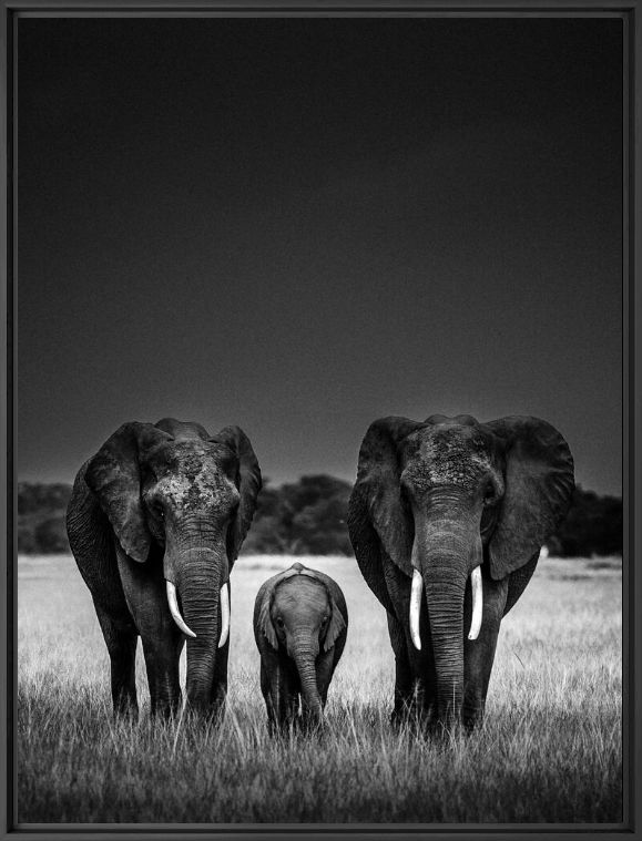 Photograph Body Guards - LAURENT BAHEUX - Picture painting