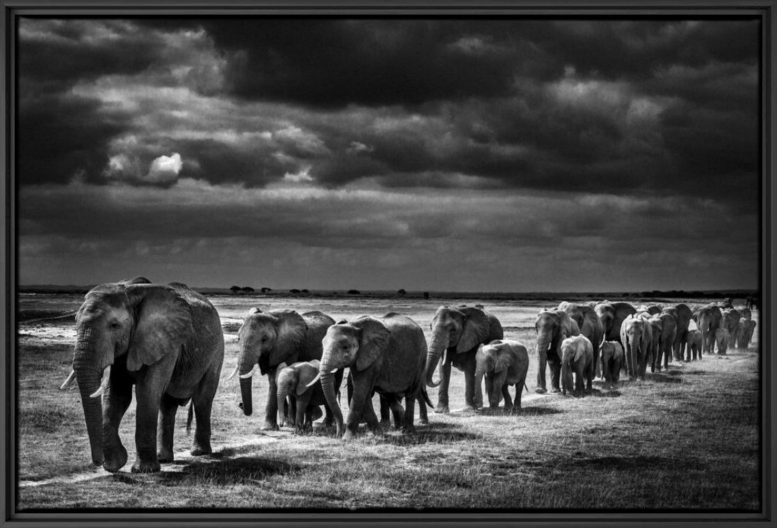 Kunstfoto Crossing the Plain I - LAURENT BAHEUX - Foto schilderij