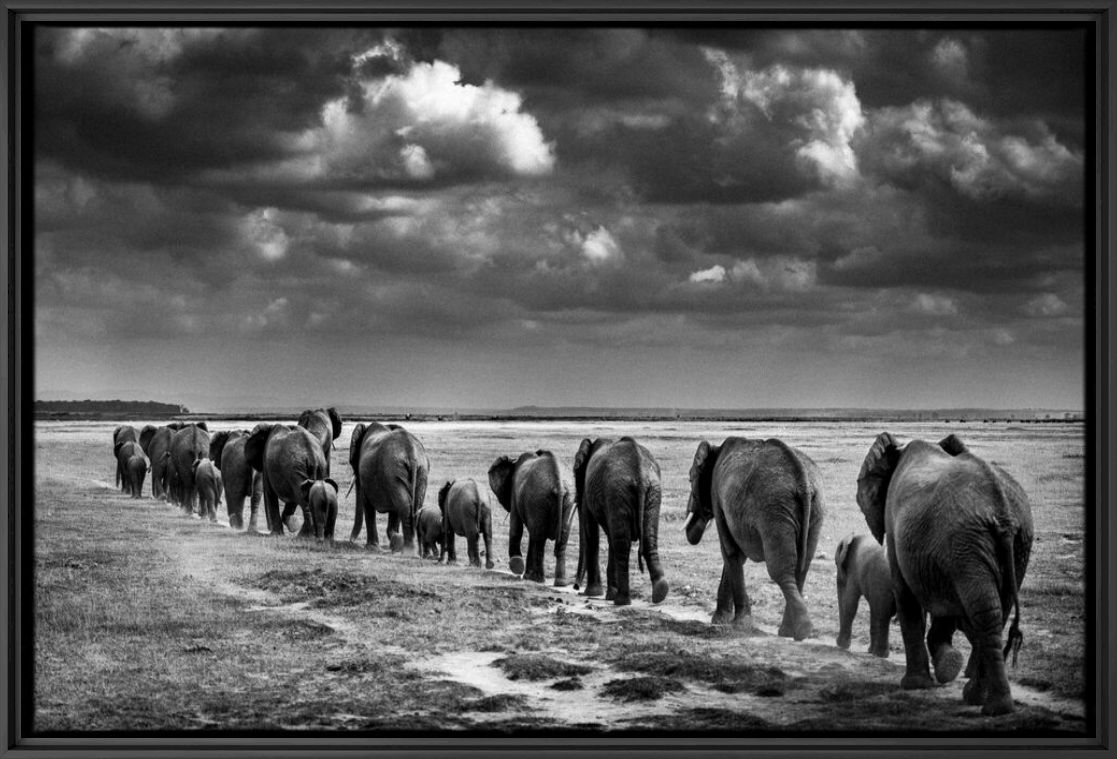 Fotografie Crossing the Plain II - LAURENT BAHEUX - Bildermalerei