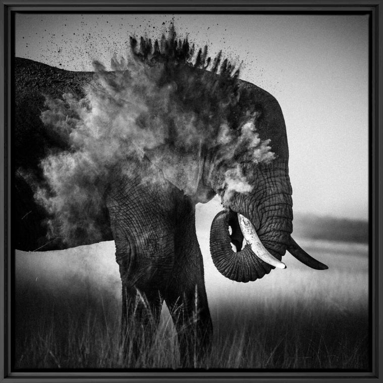 Photograph Dust Explosion II - LAURENT BAHEUX - Picture painting