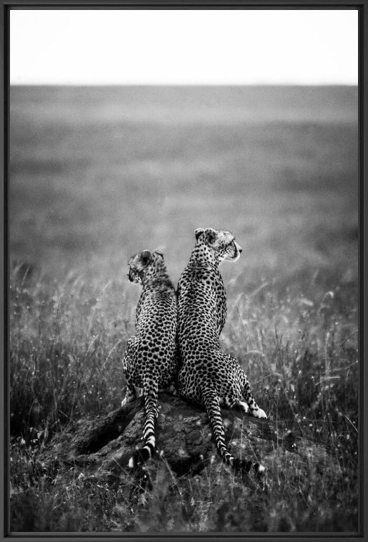 Photographie FOR LIFE - LAURENT BAHEUX - Tableau photo