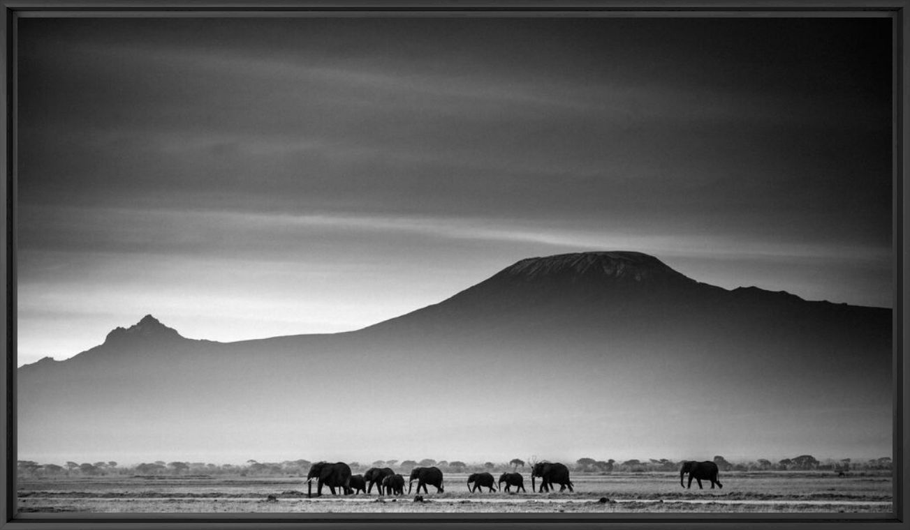 Photograph Giants in front of kilimanjaro I, Kenya 2015 - LAURENT BAHEUX - Picture painting