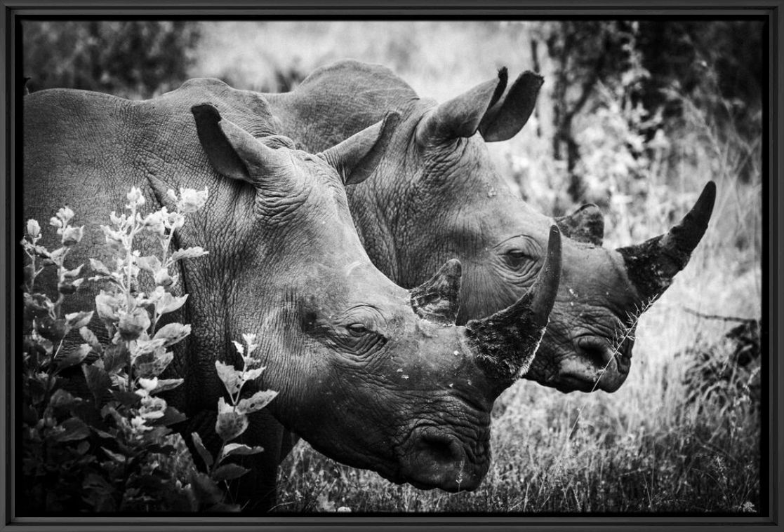 Kunstfoto Horn of Africa II - LAURENT BAHEUX - Foto schilderij