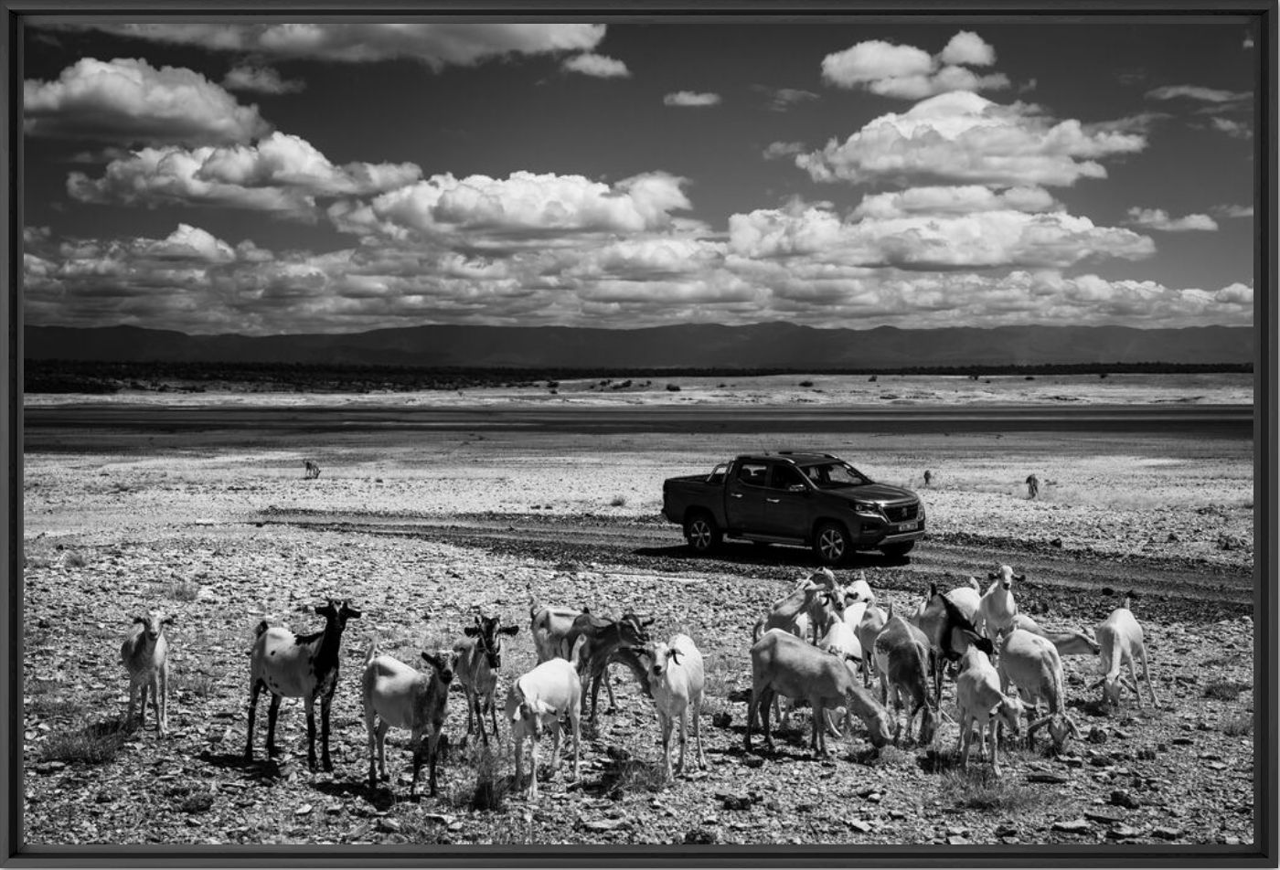 Photographie L'allure Kenya 8 - LAURENT BAHEUX - Tableau photo