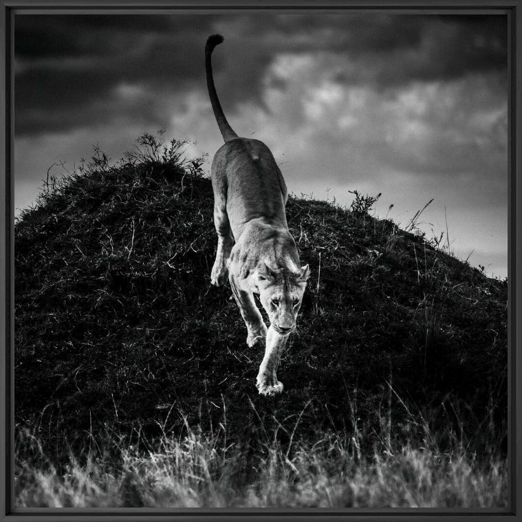 Kunstfoto On the way - LAURENT BAHEUX - Foto schilderij