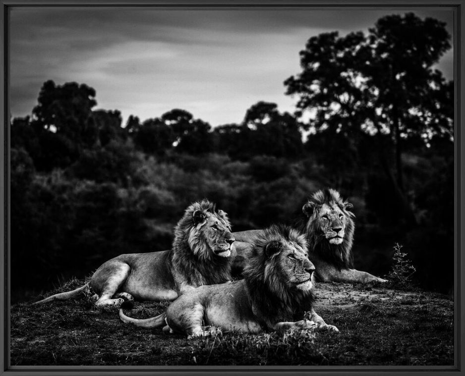 Fotografia THREE BROTHERS AFTER SUNSET - LAURENT BAHEUX - Pittura di immagini