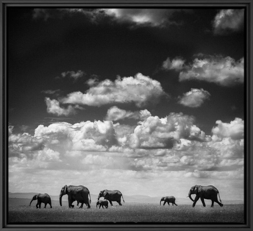 Photograph Under the Clouds I - LAURENT BAHEUX - Picture painting