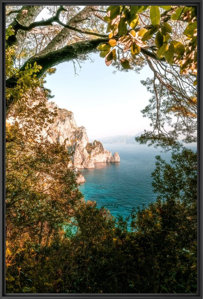 Photograph CAPRI-CALA DI MATERMANIA -  LDKPHOTO - Picture painting