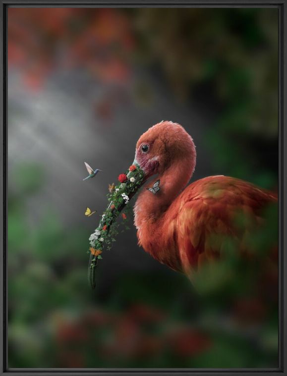 Fotografia L'Ibis Fleuri -  LES ANIMAUX IMAGINAIRES - Pittura di immagini