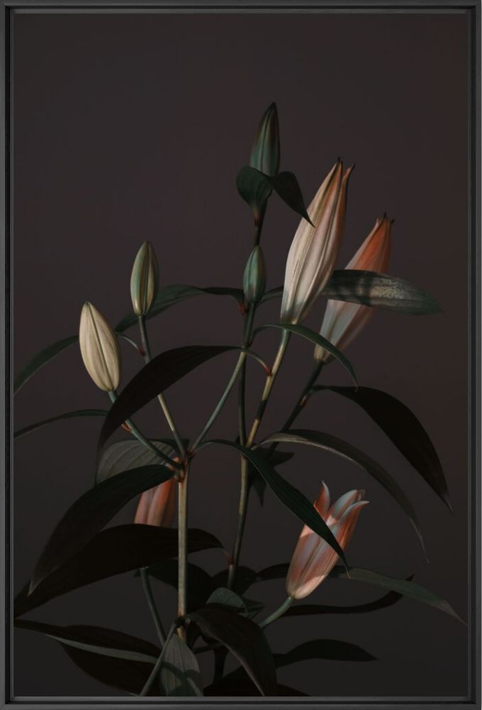 Fotografía Lilies 01 -  LIZUAIN - Cuadro de pintura