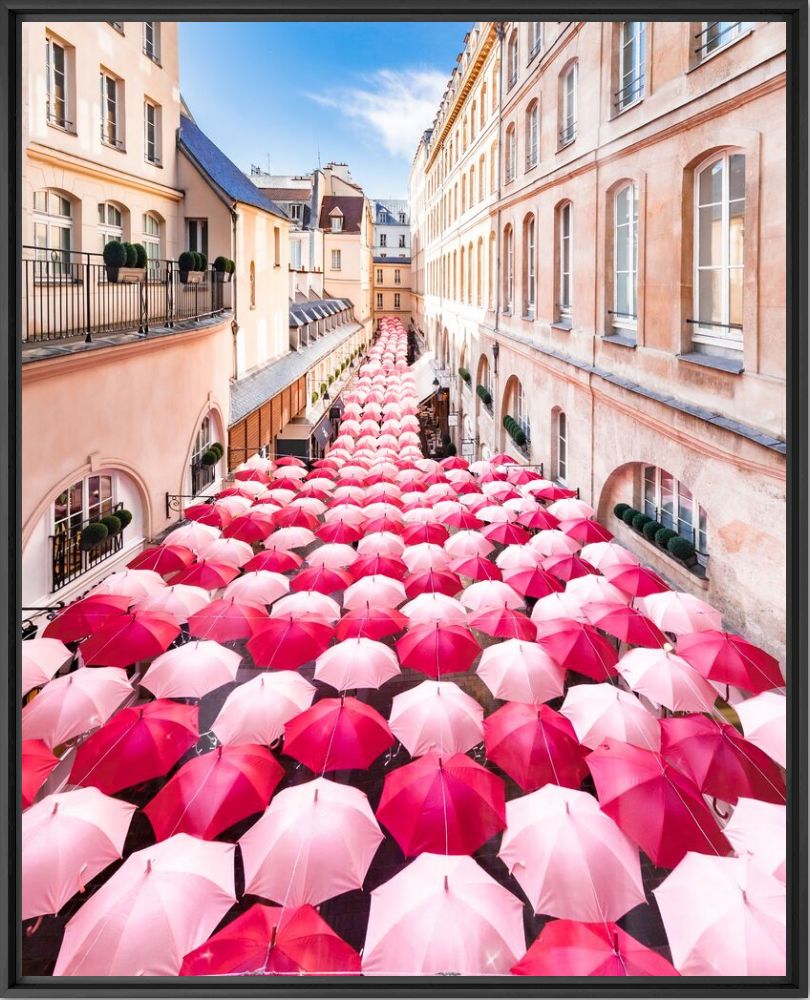 Kunstfoto La vie en rose - Loic LAGARDE - Foto schilderij