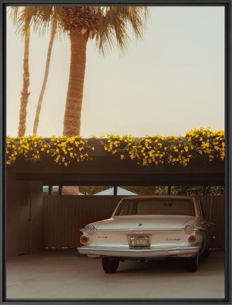 Photograph Palm springs dodge - LUDWIG FAVRE - Picture painting