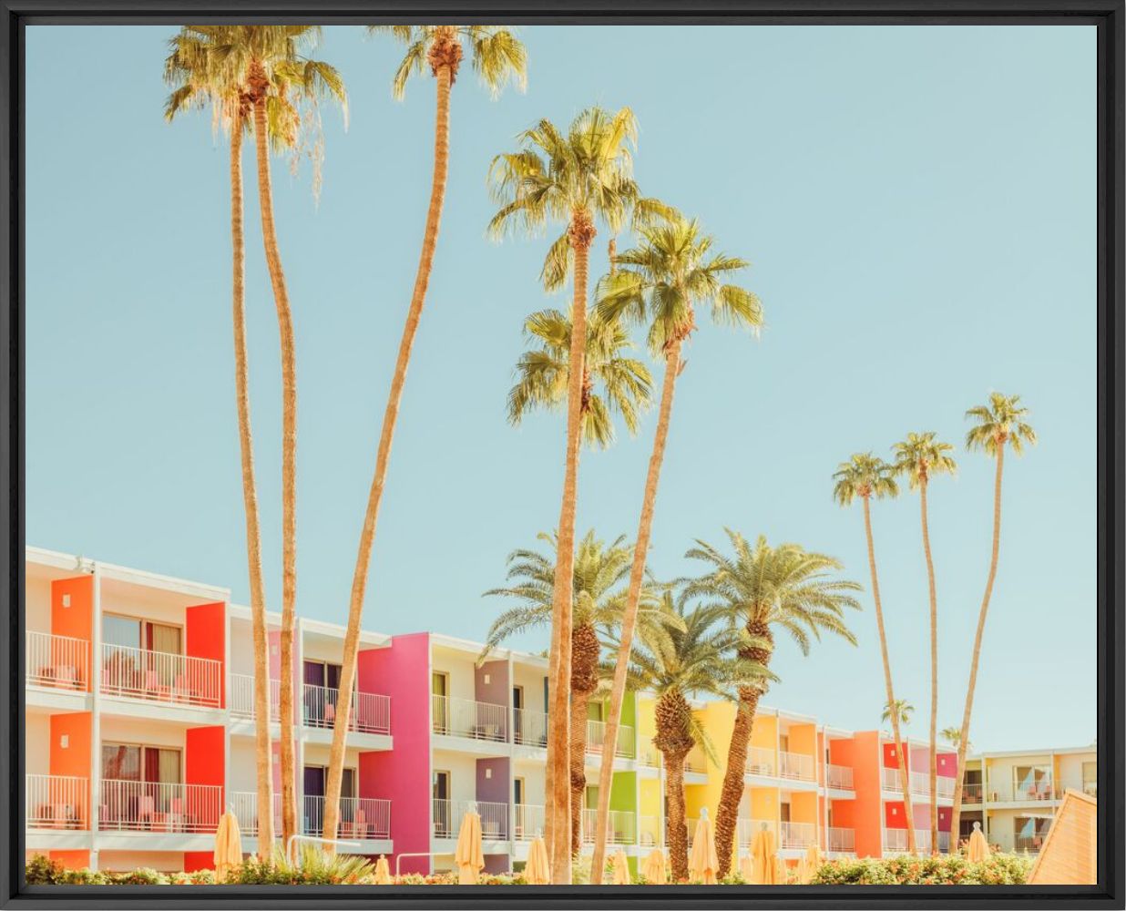 Photographie PALM SPRINGS ICONIC POOL - LUDWIG FAVRE - Tableau photo