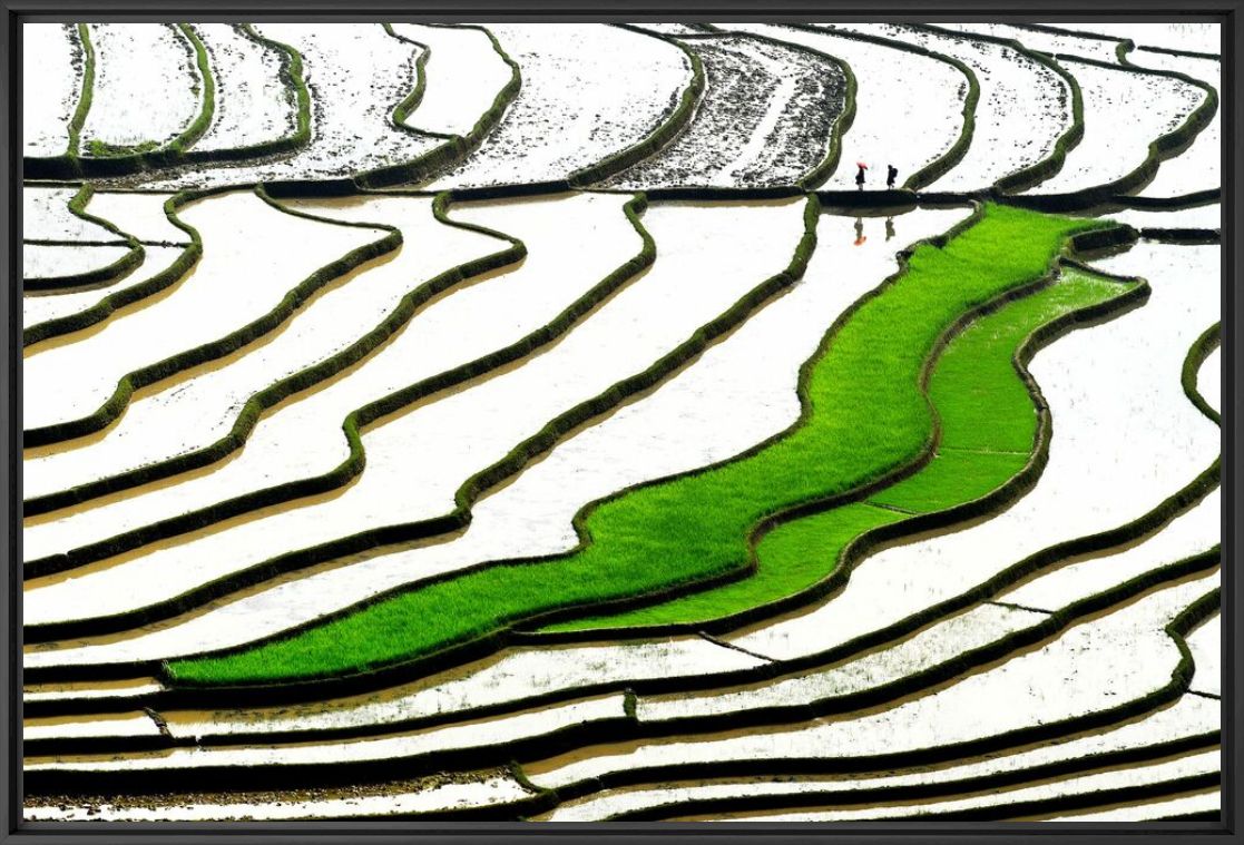 Kunstfoto GREEN STEPS - LY HOANG  LONG - Foto schilderij