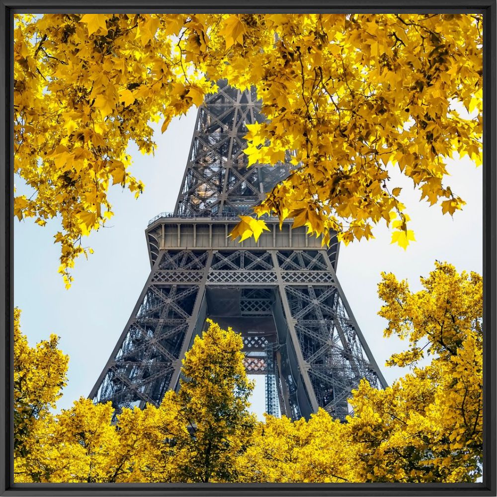 Fotografie Autumn in Paris - MANJIK PICTURES - Bildermalerei