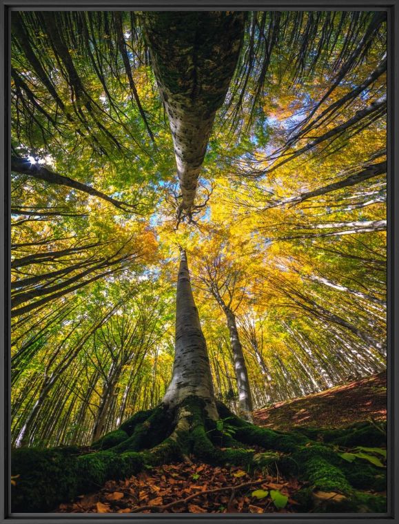 Fotografie MOTHER NATURE - MANUELO BECECCO - Bildermalerei