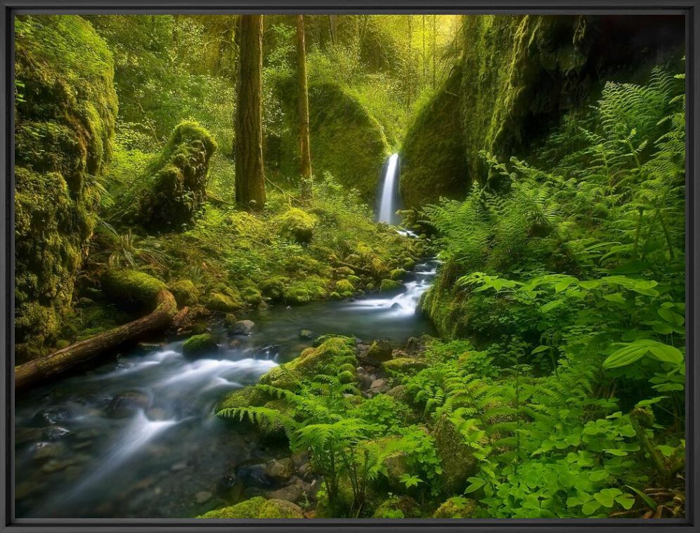 Photographie Fairyland Falls Columbia Gorge Oregon - MARC ADAMUS - Tableau photo
