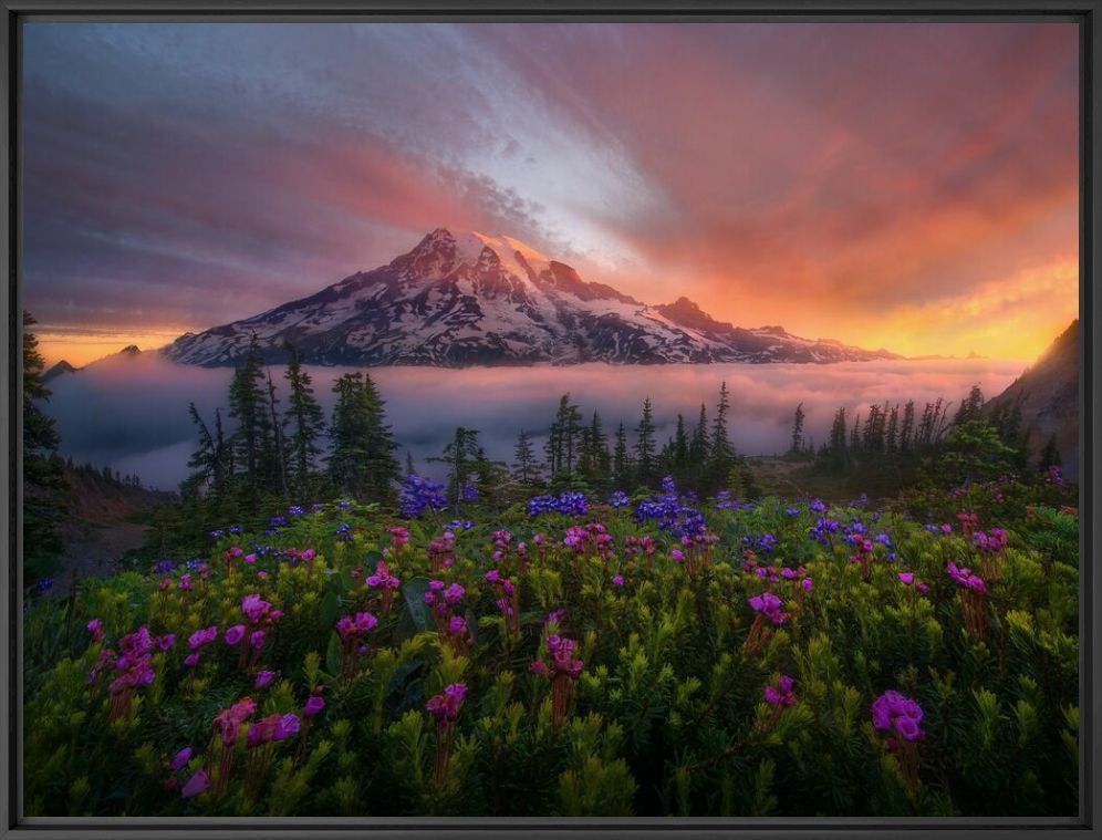 Fotografía TAHOMA THE GREAT - MARC ADAMUS - Cuadro de pintura