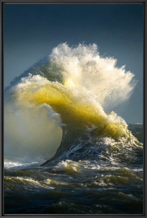 Photograph LE CHANT DORE DE L OCEAN - MATHIEU RIVRIN - Picture painting