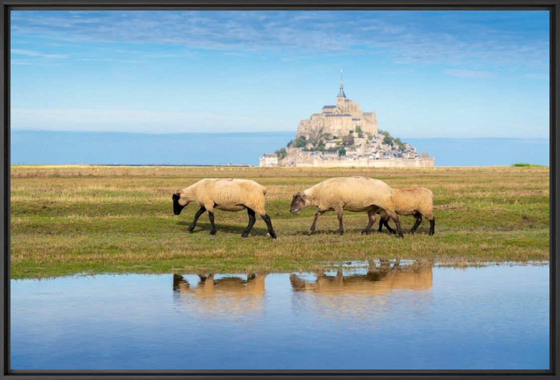 Fotografie LE PEUPLE DE LA BAIE - MATHIEU RIVRIN - Bildermalerei