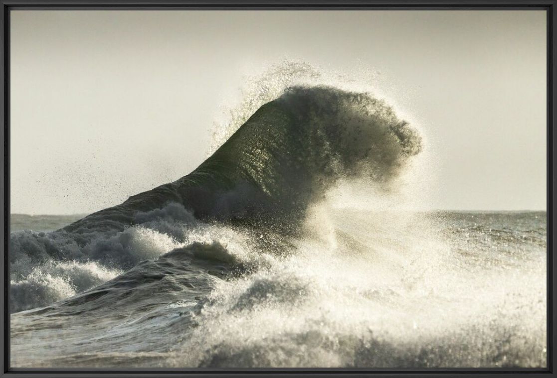 Kunstfoto LE TIGRE DE L OCEAN - MATHIEU RIVRIN - Foto schilderij