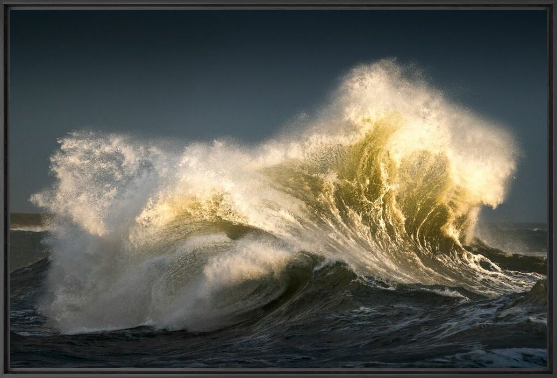 Photographie LES GRIFFES DOREES DE L OCEAN - MATHIEU RIVRIN - Tableau photo