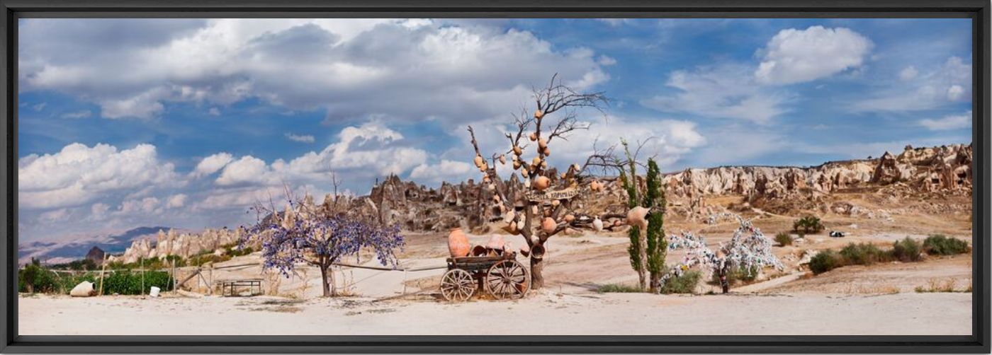 Photograph Wishtree - MATTHIAS BARTH - Picture painting