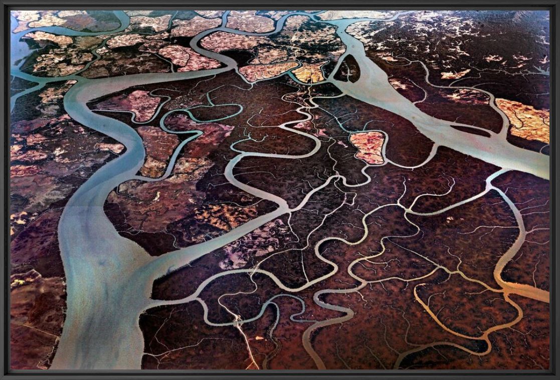 Fotografía Delta de l'Irrawady - MATTHIEU RICARD - Cuadro de pintura