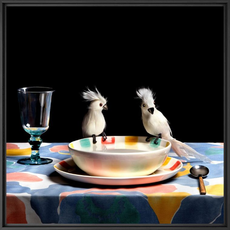 Fotografia COCKATOO SOUP - MIGUEL VALLINAS - Pittura di immagini