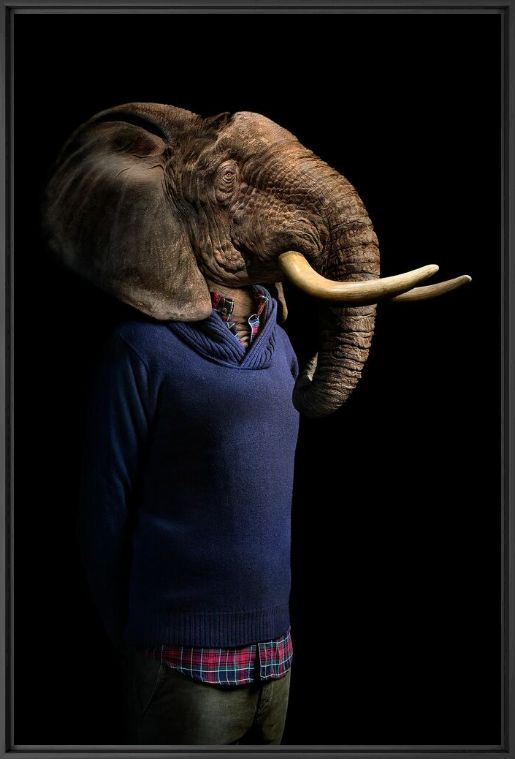 The Rising Sun, Elephant, MARIE FRANKEL · Art photographs