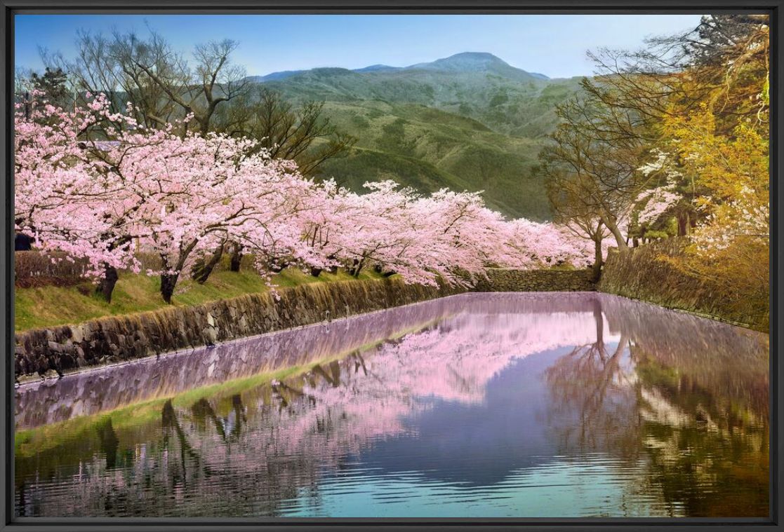 Kunstfoto Mirroring sakura - NICOLAS JACQUET - Foto schilderij