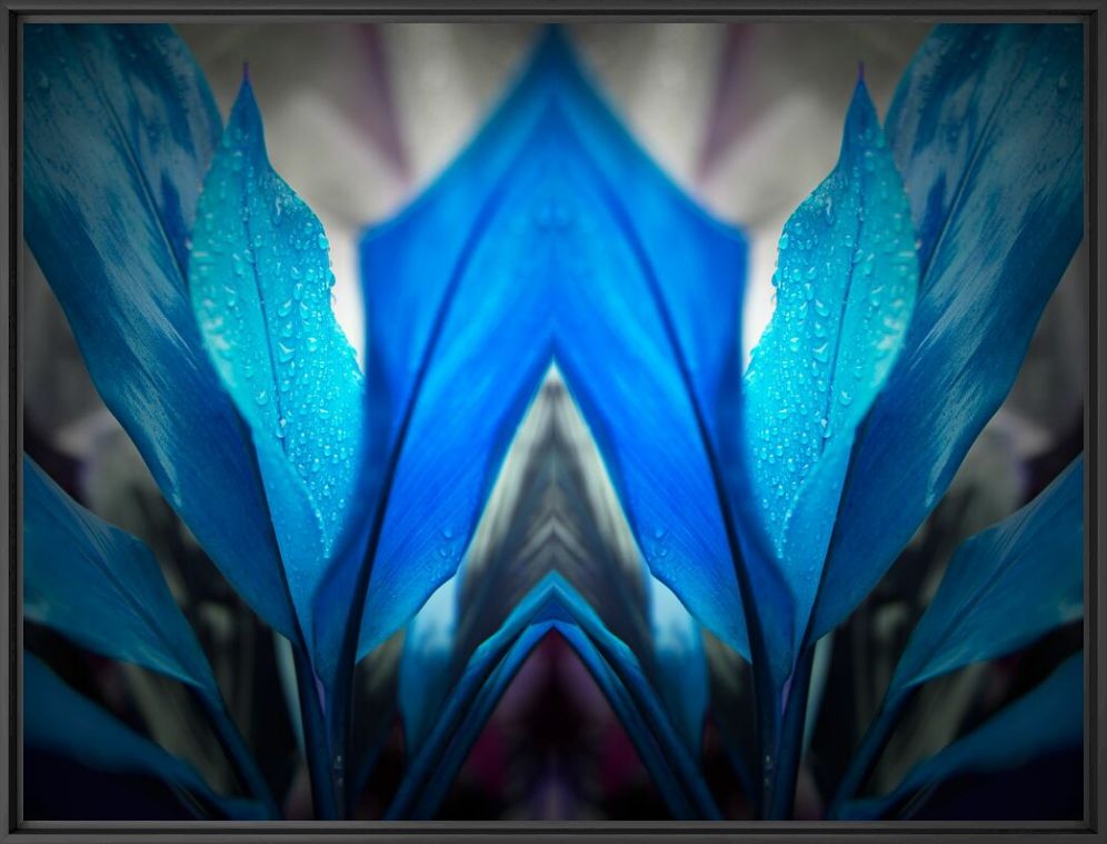 Fotografía Blue Arch - NICOLAS JARDRY - Cuadro de pintura