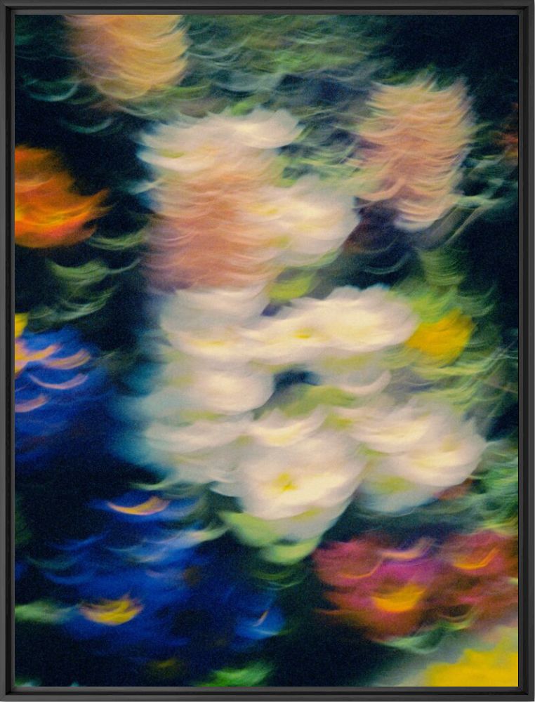 Photograph Floral - Nicolas Leconte - Picture painting