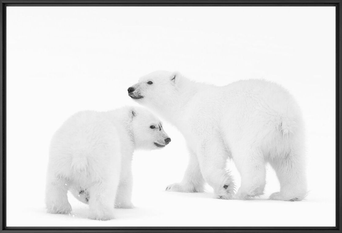 Photographie BROTHER AND SISTER - NOLWENN HADET - Tableau photo