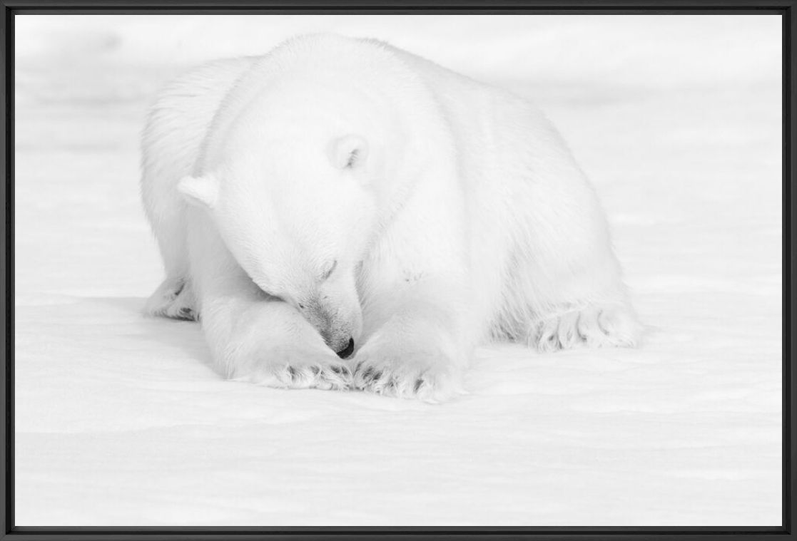 Fotografie FROZEN DREAMS - NOLWENN HADET - Bildermalerei