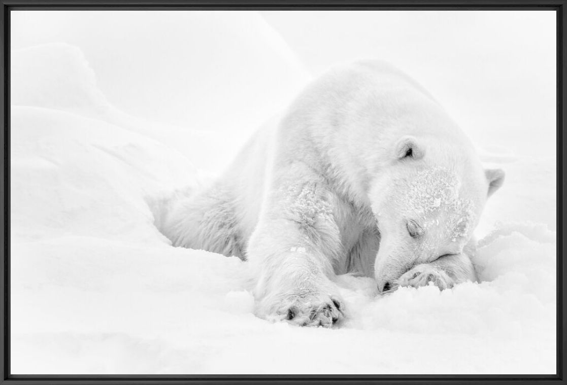 Photographie L EVEIL - NOLWENN HADET - Tableau photo